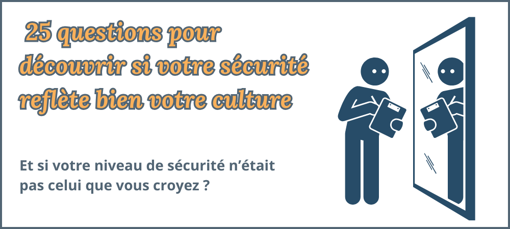 questionnaire culture HSE